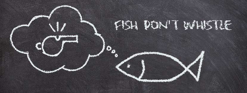 Fish Don’t Whistle Fish Don’t Whistle