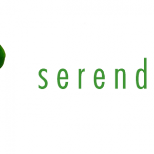 Serendipity Serendipity